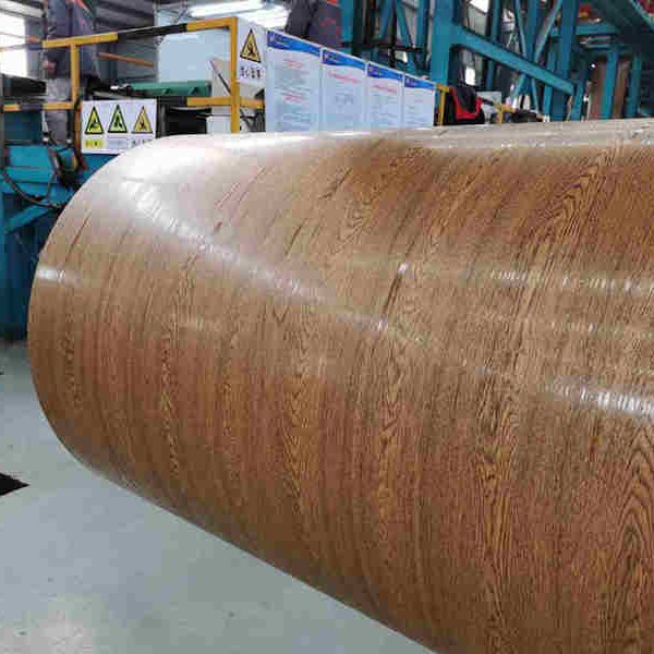 steel coil for building